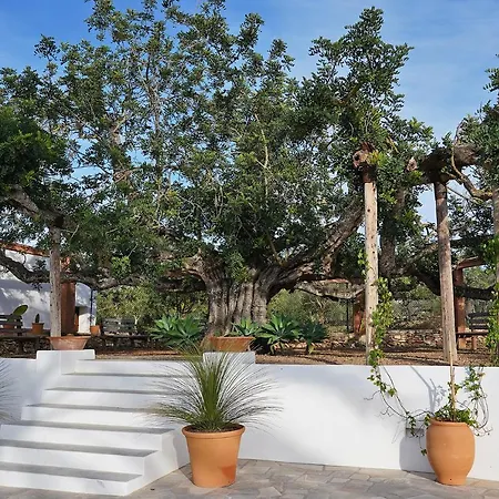Villa Vicent San Antonio (Ibiza)